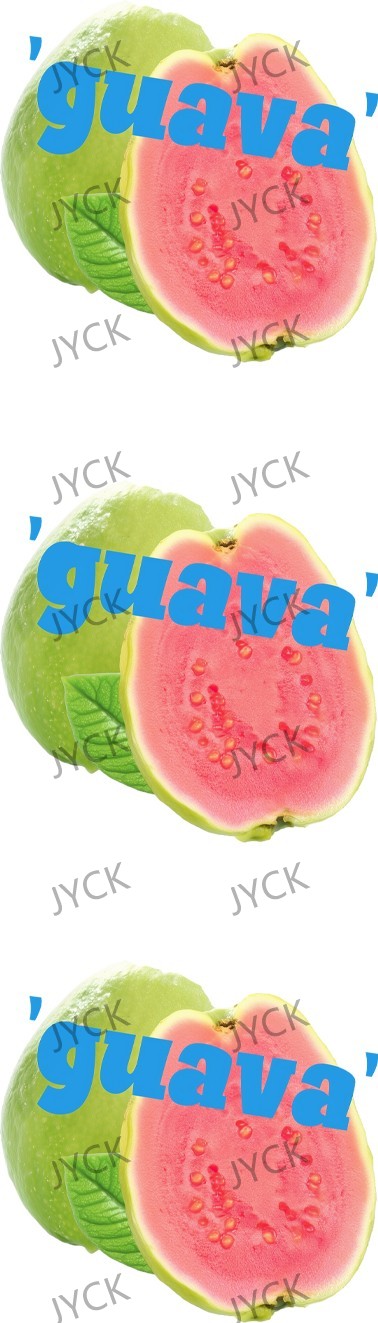 11757